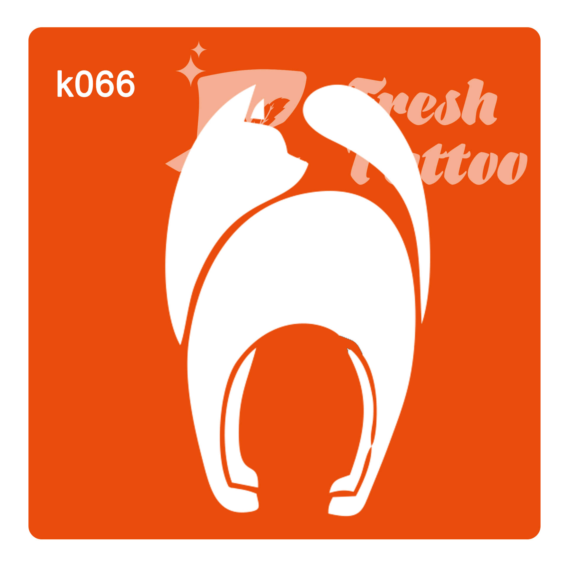  K066  